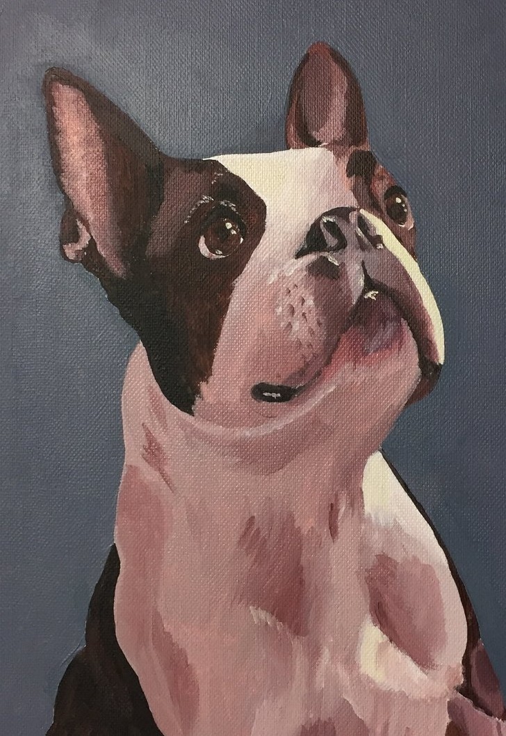 Oil portrait of a Boston terrier looking upward against a soft grey background.