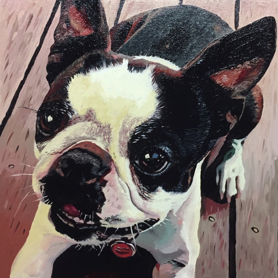 Close-up oil portrait of a black-and-white Boston terrier tilting its head.