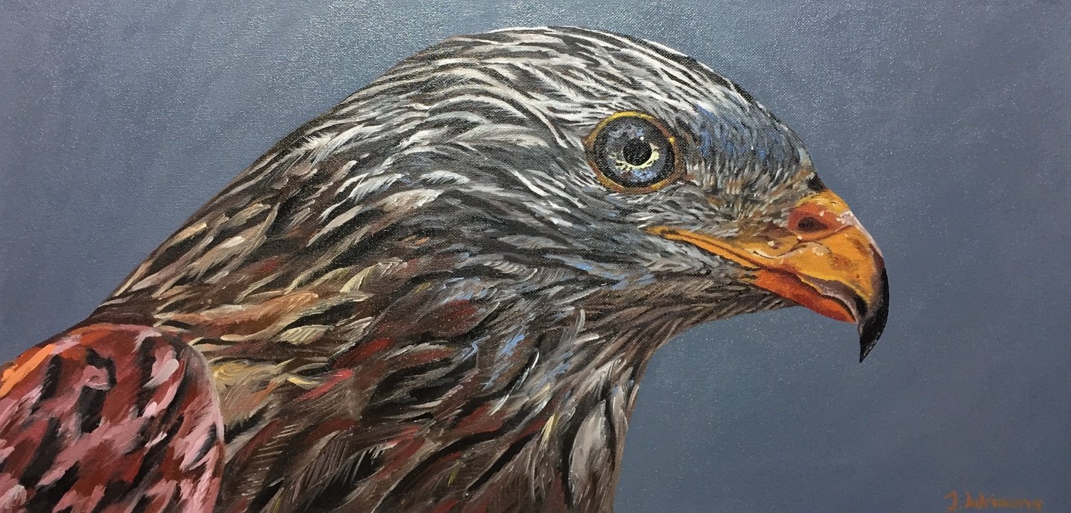 Oil study of a red kite bird of prey in profile against a grey sky.